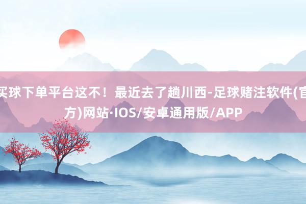 买球下单平台这不！最近去了趟川西-足球赌注软件(官方)网站·IOS/安卓通用版/APP
