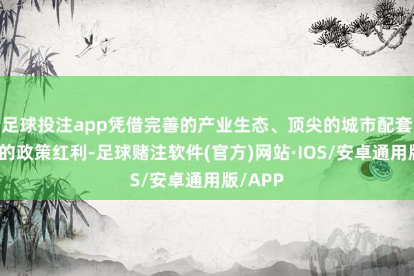 足球投注app凭借完善的产业生态、顶尖的城市配套与访佛的政策红利-足球赌注软件(官方)网站·IOS/安卓通用版/APP