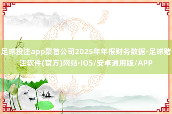 足球投注app聚首公司2025年年报财务数据-足球赌注软件(官方)网站·IOS/安卓通用版/APP