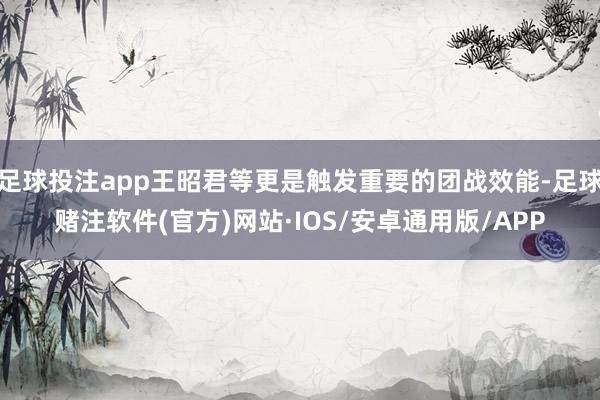 足球投注app王昭君等更是触发重要的团战效能-足球赌注软件(官方)网站·IOS/安卓通用版/APP