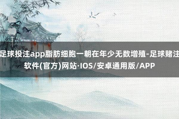 足球投注app脂肪细胞一朝在年少无数增殖-足球赌注软件(官方)网站·IOS/安卓通用版/APP
