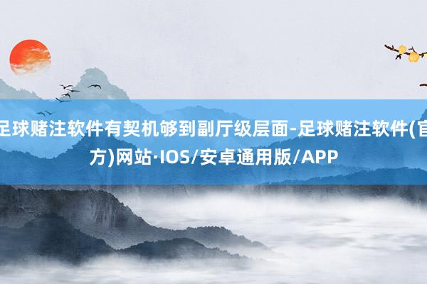 足球赌注软件有契机够到副厅级层面-足球赌注软件(官方)网站·IOS/安卓通用版/APP