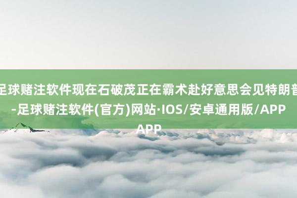 足球赌注软件现在石破茂正在霸术赴好意思会见特朗普-足球赌注软件(官方)网站·IOS/安卓通用版/APP