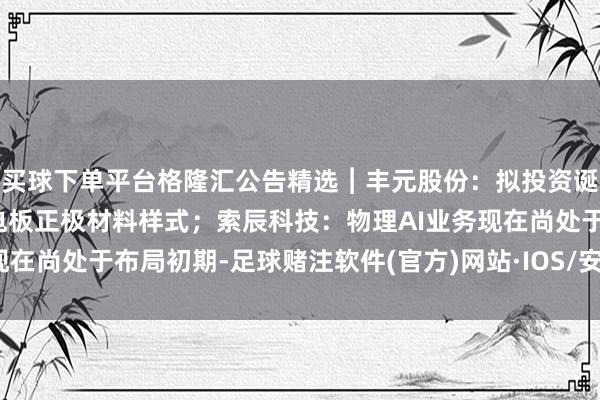 买球下单平台格隆汇公告精选︱丰元股份：拟投资诞生及升级翻新高性能锂电板正极材料样式；索辰科技：物理AI业务现在尚处于布局初期-足球赌注软件(官方)网站·IOS/安卓通用版/APP