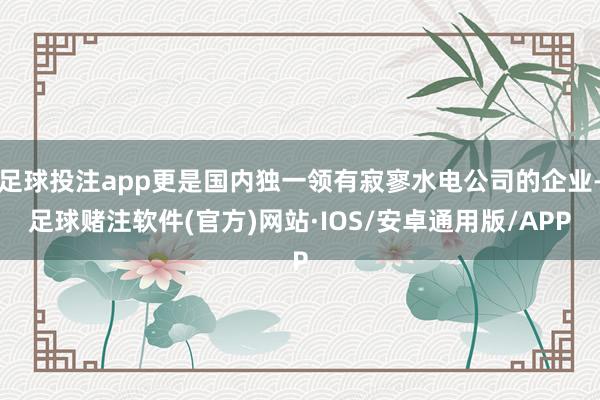 足球投注app更是国内独一领有寂寥水电公司的企业-足球赌注软件(官方)网站·IOS/安卓通用版/APP
