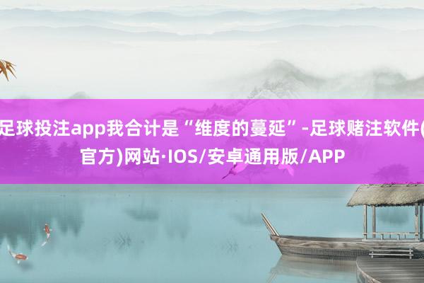 足球投注app我合计是“维度的蔓延”-足球赌注软件(官方)网站·IOS/安卓通用版/APP