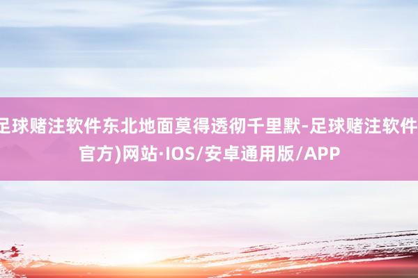 足球赌注软件东北地面莫得透彻千里默-足球赌注软件(官方)网站·IOS/安卓通用版/APP