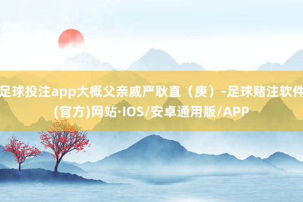 足球投注app大概父亲威严耿直(庚)-足球赌注软件(官方)网站·IOS/安卓通用版/APP