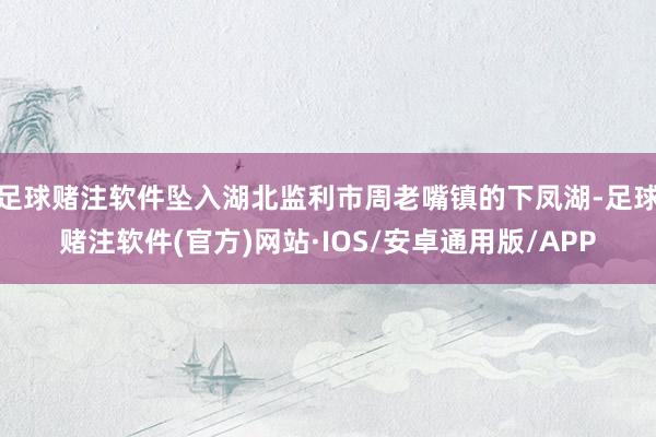足球赌注软件坠入湖北监利市周老嘴镇的下凤湖-足球赌注软件(官方)网站·IOS/安卓通用版/APP