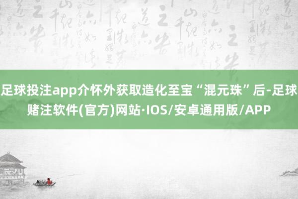 足球投注app介怀外获取造化至宝“混元珠”后-足球赌注软件(官方)网站·IOS/安卓通用版/APP