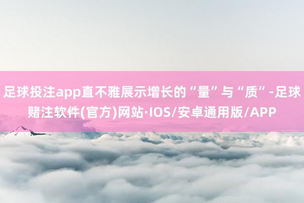 足球投注app直不雅展示增长的“量”与“质”-足球赌注软件(官方)网站·IOS/安卓通用版/APP