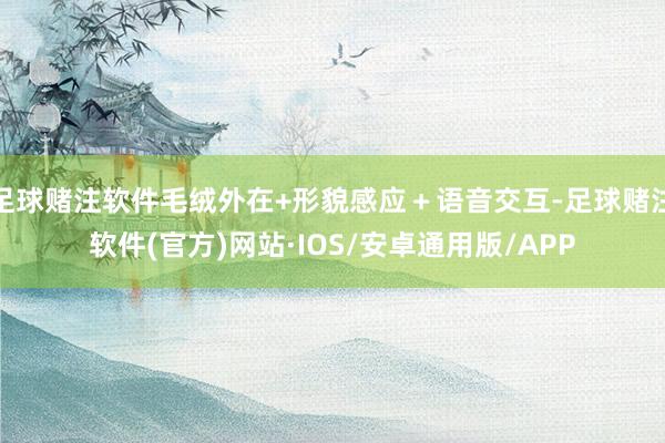 足球赌注软件毛绒外在+形貌感应+语音交互-足球赌注软件(官方)网站·IOS/安卓通用版/APP