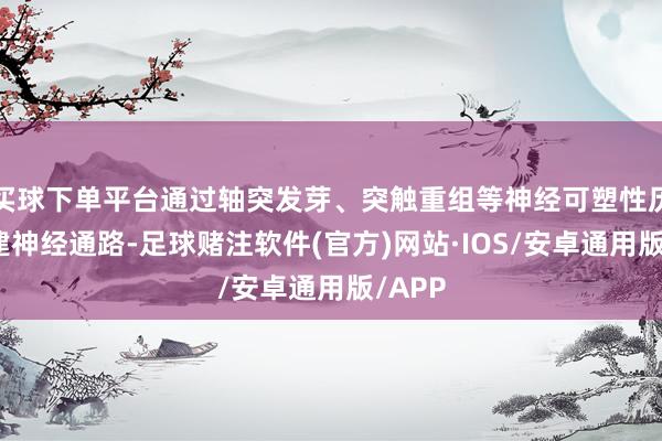 买球下单平台通过轴突发芽、突触重组等神经可塑性历程重建神经通路-足球赌注软件(官方)网站·IOS/安卓通用版/APP