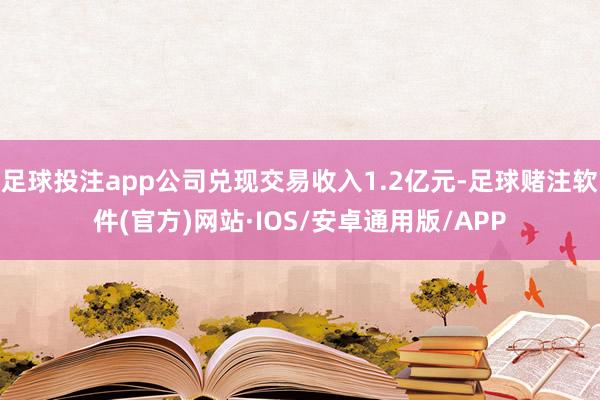足球投注app公司兑现交易收入1.2亿元-足球赌注软件(官方)网站·IOS/安卓通用版/APP