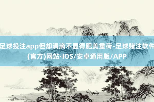 足球投注app但却涓滴不显得肥美重荷-足球赌注软件(官方)网站·IOS/安卓通用版/APP