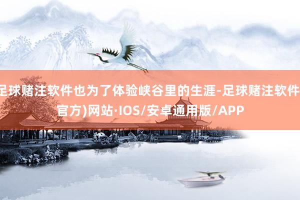 足球赌注软件也为了体验峡谷里的生涯-足球赌注软件(官方)网站·IOS/安卓通用版/APP