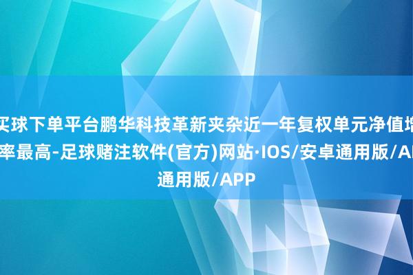 买球下单平台鹏华科技革新夹杂近一年复权单元净值增长率最高-足球赌注软件(官方)网站·IOS/安卓通用版/APP