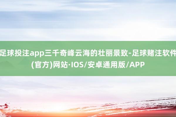 足球投注app三千奇峰云海的壮丽景致-足球赌注软件(官方)网站·IOS/安卓通用版/APP
