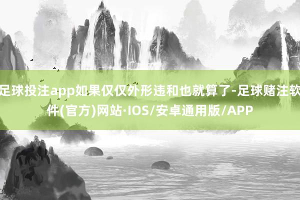 足球投注app如果仅仅外形违和也就算了-足球赌注软件(官方)网站·IOS/安卓通用版/APP
