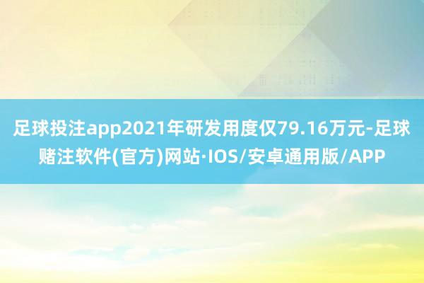 足球投注app2021年研发用度仅79.16万元-足球赌注软件(官方)网站·IOS/安卓通用版/APP