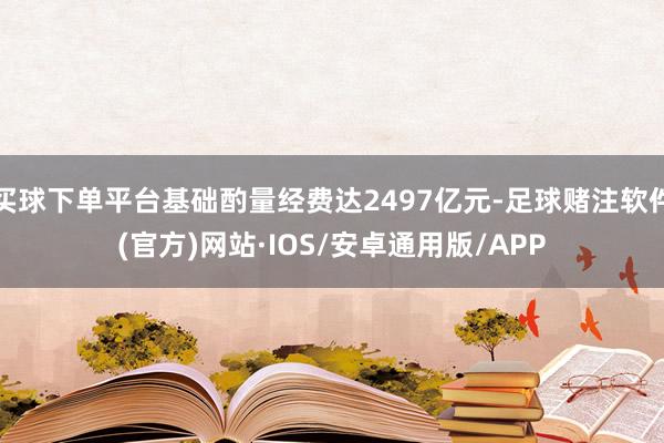 买球下单平台基础酌量经费达2497亿元-足球赌注软件(官方)网站·IOS/安卓通用版/APP