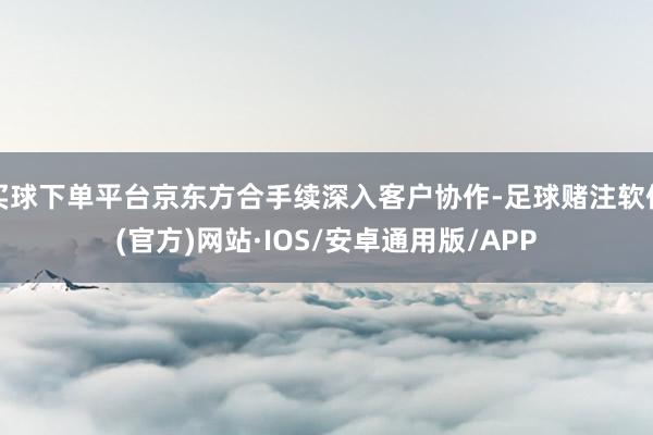 买球下单平台京东方合手续深入客户协作-足球赌注软件(官方)网站·IOS/安卓通用版/APP