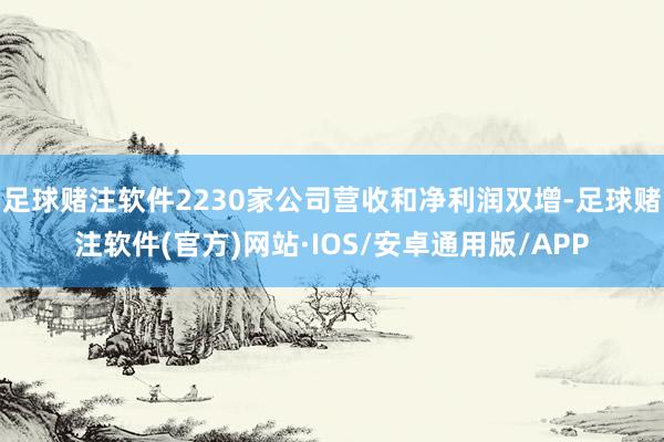 足球赌注软件2230家公司营收和净利润双增-足球赌注软件(官方)网站·IOS/安卓通用版/APP