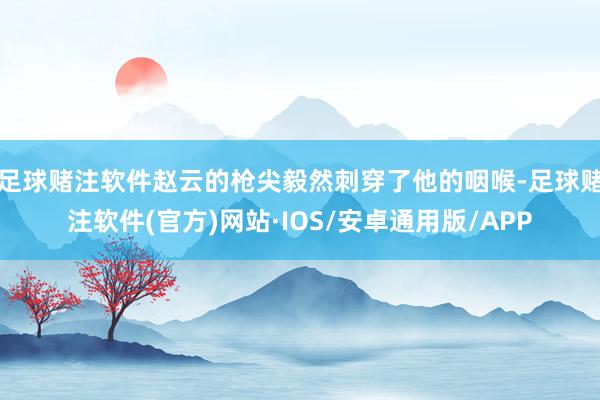 足球赌注软件赵云的枪尖毅然刺穿了他的咽喉-足球赌注软件(官方)网站·IOS/安卓通用版/APP