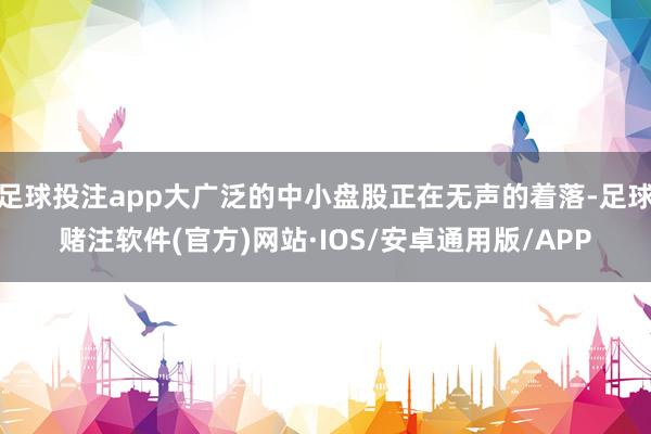 足球投注app大广泛的中小盘股正在无声的着落-足球赌注软件(官方)网站·IOS/安卓通用版/APP