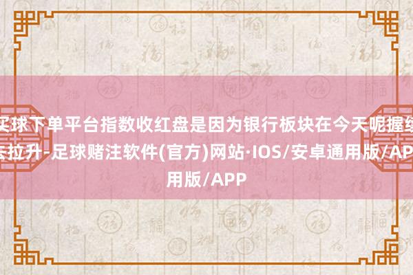买球下单平台指数收红盘是因为银行板块在今天呢握续去拉升-足球赌注软件(官方)网站·IOS/安卓通用版/APP