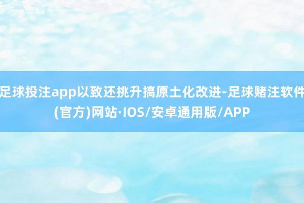 足球投注app以致还挑升搞原土化改进-足球赌注软件(官方)网站·IOS/安卓通用版/APP