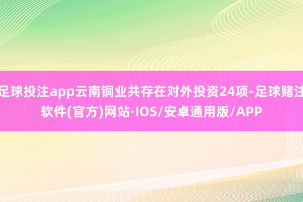 足球投注app云南铜业共存在对外投资24项-足球赌注软件(官方)网站·IOS/安卓通用版/APP