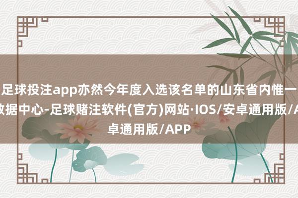 足球投注app亦然今年度入选该名单的山东省内惟一的数据中心-足球赌注软件(官方)网站·IOS/安卓通用版/APP