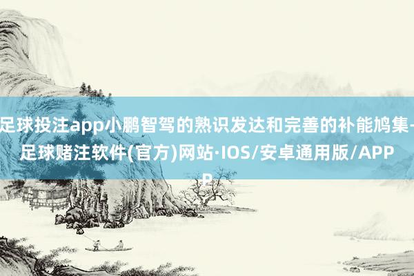 足球投注app小鹏智驾的熟识发达和完善的补能鸠集-足球赌注软件(官方)网站·IOS/安卓通用版/APP