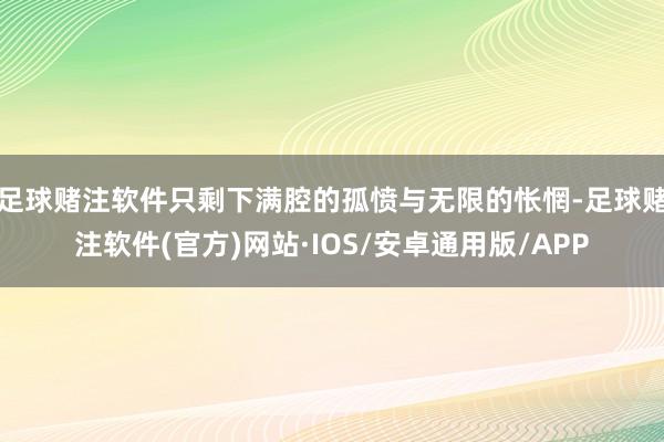 足球赌注软件只剩下满腔的孤愤与无限的怅惘-足球赌注软件(官方)网站·IOS/安卓通用版/APP