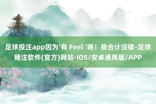 足球投注app因为‘有 Feel ’咯！我合计没错-足球赌注软件(官方)网站·IOS/安卓通用版/APP