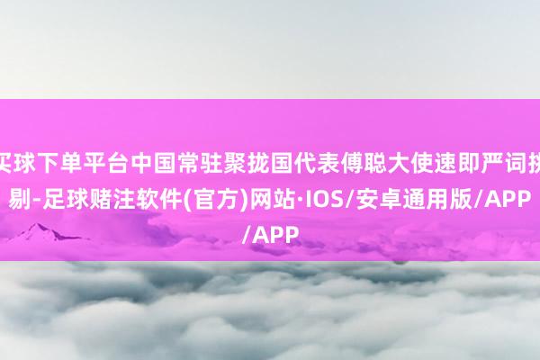 买球下单平台中国常驻聚拢国代表傅聪大使速即严词挑剔-足球赌注软件(官方)网站·IOS/安卓通用版/APP